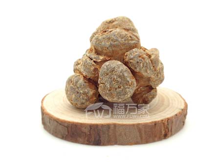 三七的果子什么样