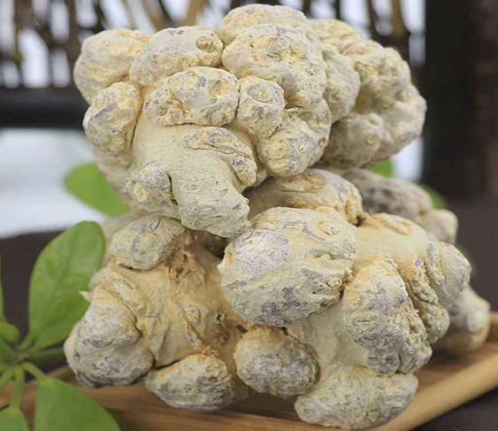 冻干三七 冻干三七