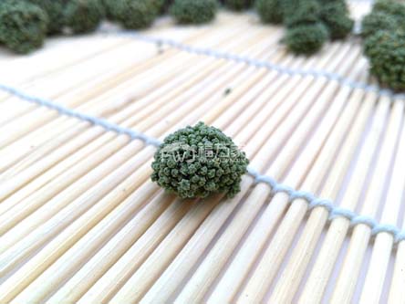 三七粉配三七花