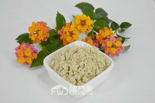 三七粉热性大吗