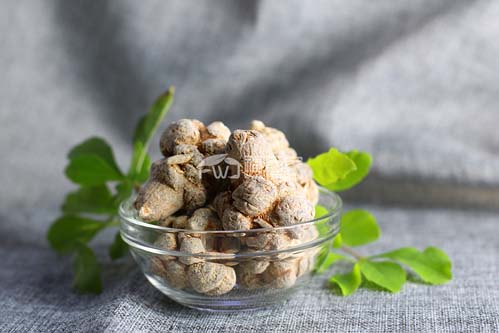 好的三七 好的三七